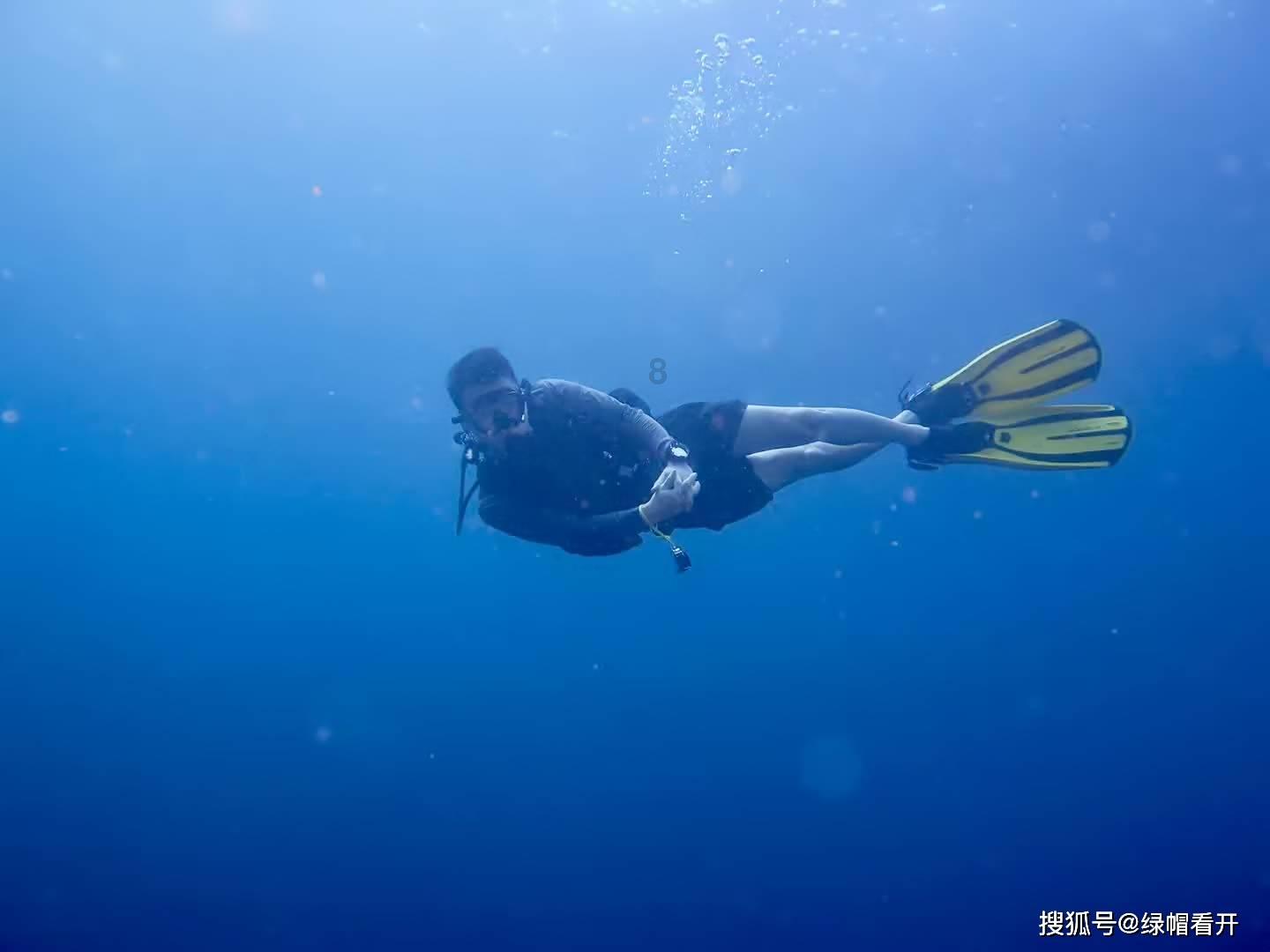 救援受困的火鸡